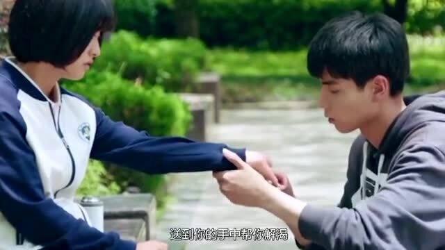 救援达尔马提亚狗