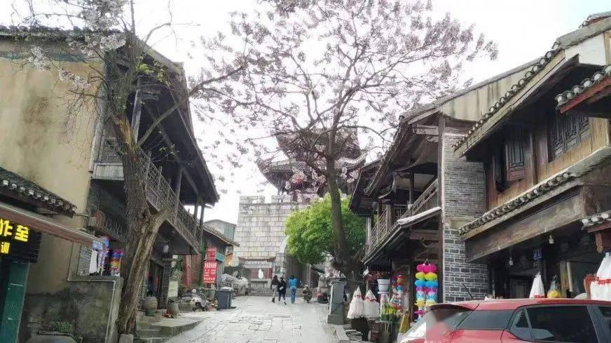 奥日与黑暗森林